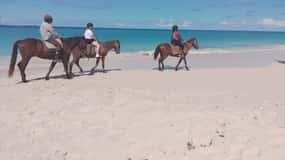 John's Ridning, svømning og Dickenson Bay Beach