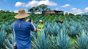 Tequila y Guachimontones: Excursión Privada de Día Completo