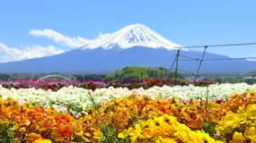 Mt.Fuji Fullday private tour from Tokyo/Yokoham(Customizable