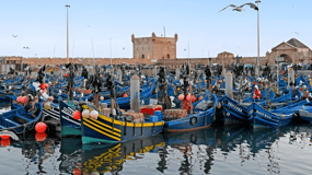 Small-Group Day Trip from Marrakech to Essaouira Mogador