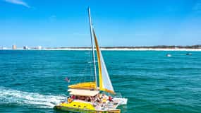 Shell Island: Snorkling och delfintur på Footloose Catamaran