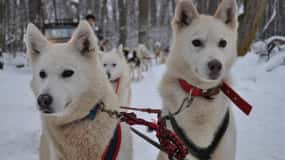 USHUAIA | White Adventure