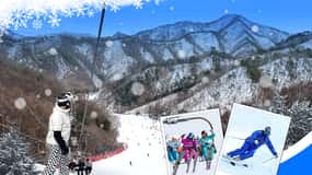 Seoul: Elysian Ski Resort One Day Tour
