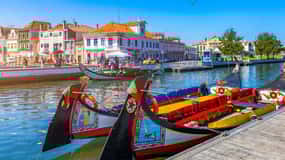 From Porto: Aveiro Half Day Tour
