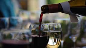 West Kelowna: Wine Tour with Tastings