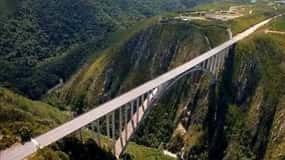 Port Elizabeth: Tsitsikama National Park full-day