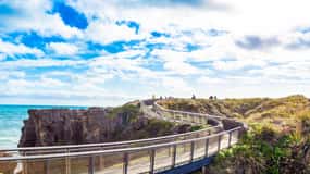 Tour da Christchurch a Franz Josef via Hokitika (solo andata)