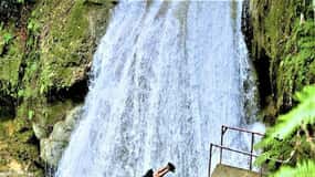 Combo de um dia entre Blue Hole, Secret Falls e Dunn's River Falls