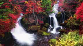Tokyo: gita privata di un giorno a Nikko con autista