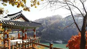 From Seoul: Demilitarized Zone & 2nd Tunnel One Day Tour