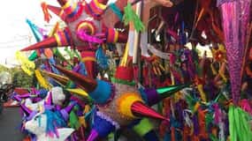 -Acapulco: 6hr City Tour & Turtle Release & High Diver Show