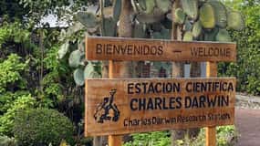 Galápagos: tour guidato di 5 giorni con alloggio