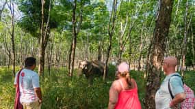 Khaolak Hightlight Tour avec Eco Guide Adventure