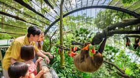Singapore Zoo: 1-Day Entrance E-Ticket