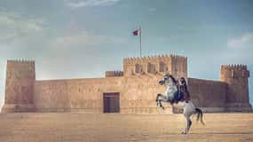 Nord del Qatar: Forte di Zubara, Villaggio di Jumail, Mangrovie di Thakhira