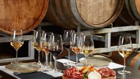 Milan: Wine Lovers Experience at Cantina Urbana Winery