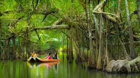 Khao Lak's Little Amazon: Canoe, Trek & Waterfall Day Trip