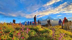 Pokhara: 3- days Poon Hill Trek