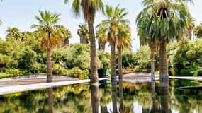 Kuwait-Stadt: Private Tour mit einem ortskundigen Guide