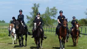 Hirschburg: Horseback riding for beginners