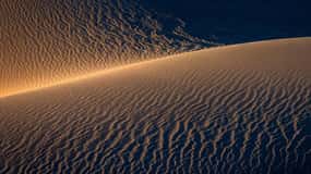 Doha: Nächtliche Wüstensafari mit Dune Bashing und Kamelritt