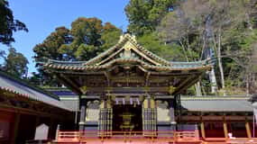 Escursione a Nikko: cascate Kegon, lago Chuzenji e Toshogu Opzione