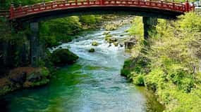 Da Tokyo: Tour privato di Nikko completamente personalizzabile