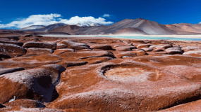Tour Triple: Piedras Rojas, Lagunas Altiplánicas y Laguna Chaxa.
