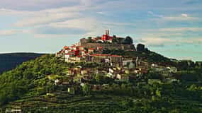 Truffle hunting in Istria private experience