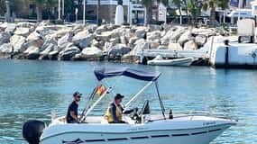 Marbella: Alquiler de barcos para avistamiento de delfines