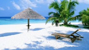 Punta Cana: Saona Island Tour For Small Group Food And Drink