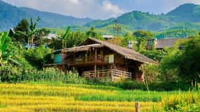 Sapa Motorbike 1 Day Trip