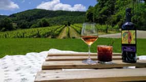 MONTEPULCIANO - PIC NIC WITH WINE! SURROUNDED BY VINEYARDS