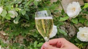 З Парижа: Одноденна поїздка до Шампані з 7 дегустаціями та обідом