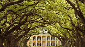 Von New Orleans aus: Oak Alley oder Laura Plantation Tour