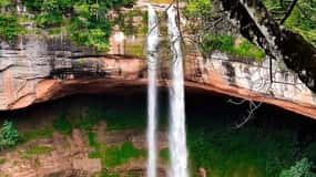Visita de um dia ao Jardim das Delícias