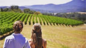 Yarra Valley Foodies Tour with Chandon and Kangaroo Safari!