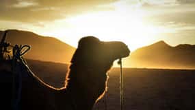 Desde Marrakech Excursión de 2 días al Desierto