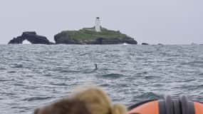 Godrevy to Hell's Mouth Boat Trip