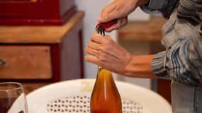 Figazzano: Wine Tasting in a Trulli Complex with a Vineyard