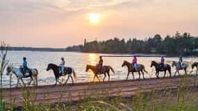 Brudenell: Family-Friendly Horse Ride goes on the Beach
