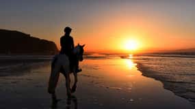 Tamarindo: Hästridning till Tamarindo Beach - Guanacaste, CR