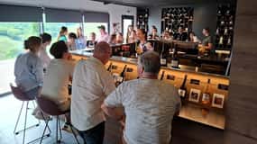 From Lyon: Beaujolais Wine Route Half-Day Tour