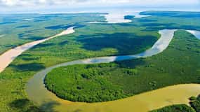 Sandakan: Kinabatangan River Wildlife Cruise med frokost