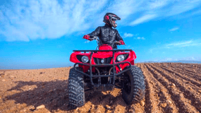 Marrakech: Desert Quad Bike, Camel Ride & Live Dinner Show