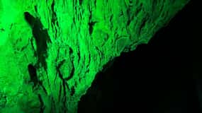 Alicante: Canelobre Caves and Busot Tour