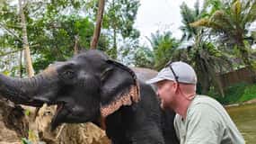 Khao Lak : promenade guidée de 2 heures dans l'écosanctuaire des éléphants