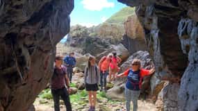 Dublin: Vandretur i Howth Safari