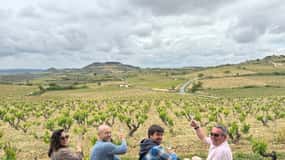 Private wine day from Bilbao, visit 2 wineries in La Rioja
