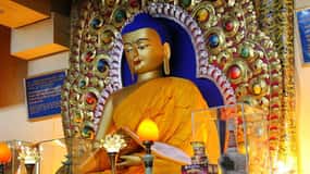 Dharamshala Full Day Tour